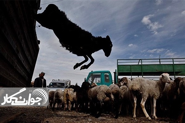 کشف ماینرهای غیرمجاز و محمولههای قاچاق