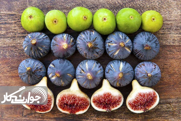 انجیر؛ طلای شیرین برای سلامت بدن