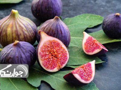 انجیر؛ طلای شیرین برای سلامت بدن