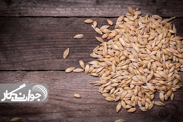 جو دانه معجزهآسای سلامتی و زندگی