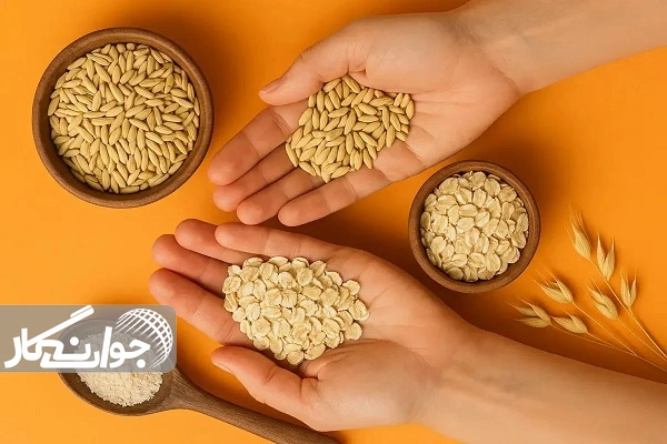 جو، دانه معجزهآسای سلامتی و زندگی جو، دانه معجزهآسای سلامتی و زندگی