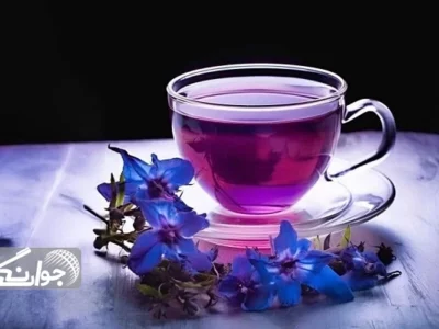 دمنوش گلگاوزبان آرامشدهنده اعصاب