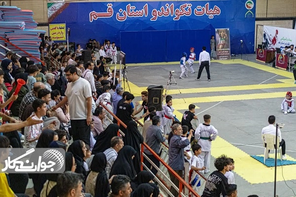 معرفی ۵۶ مدالآور خردسال تکواندو قم